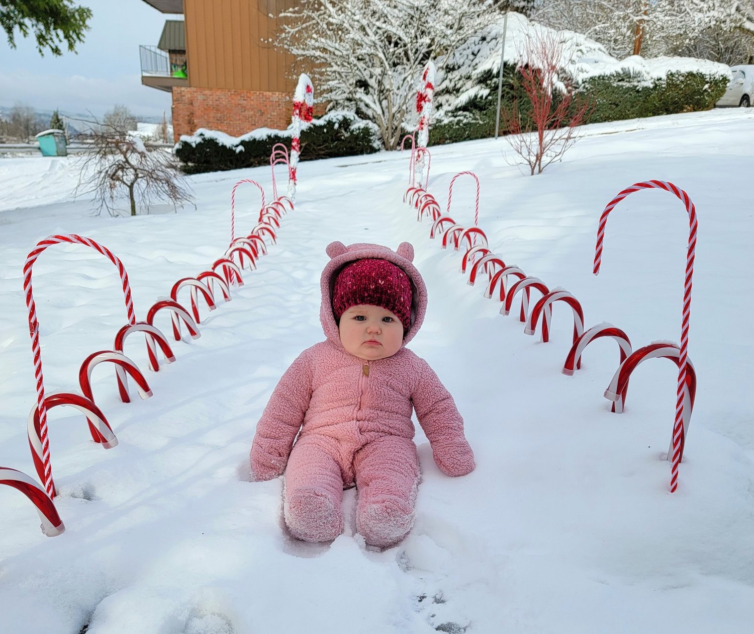 Natalya, 8 months old, experienced her first snow in Chehalis this week. This photo was submitted by her mother.